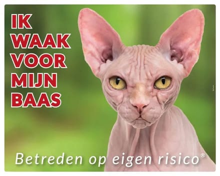 Katten Sphynx Waakbord
