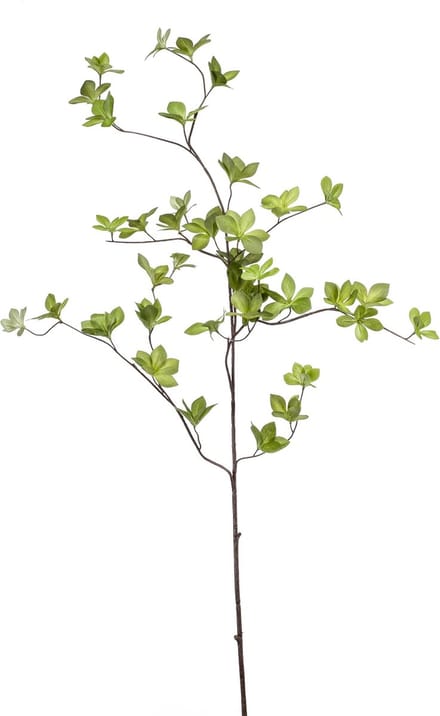Emerald - Kunsttak Cornus blad 115cm - Kunstplant voor binnen