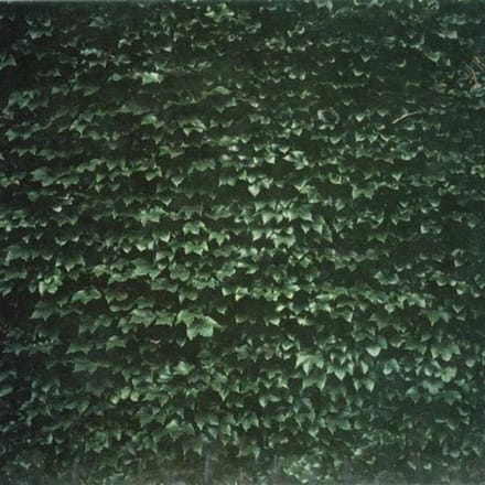 Tarentel - The Order Of Things (CD)