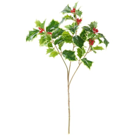 Ilex tak "Green" met bessen, L 40 cm,