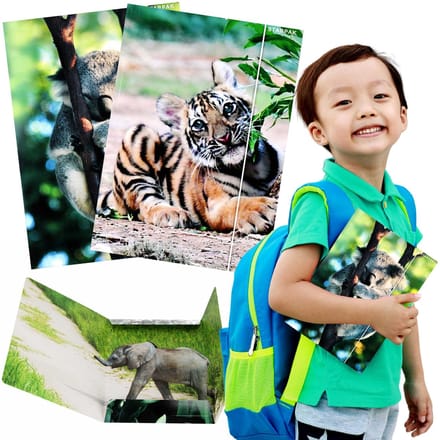 WILDE DIEREN Elastomap Gelamineerde schoolmap met elastiek A4 STARPAK