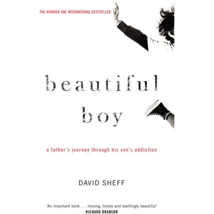 Beautiful Boy - Sheff, David