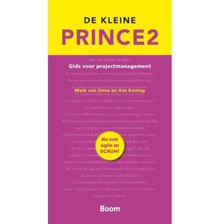 De Kleine Prince 2 - Mark van Onna