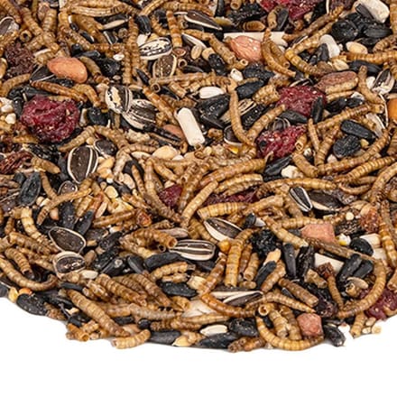 The bird family® - Strooivoer Excellent Meelworm en Fruit - 9 kg