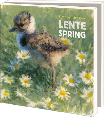 Kaartenmapje met env, vierkant: Lente, Elwin van der Kolk, Vogelbescherming