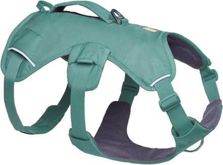 Gevoerd Hondenvest met Handvat en Drie Riemen voor Steun