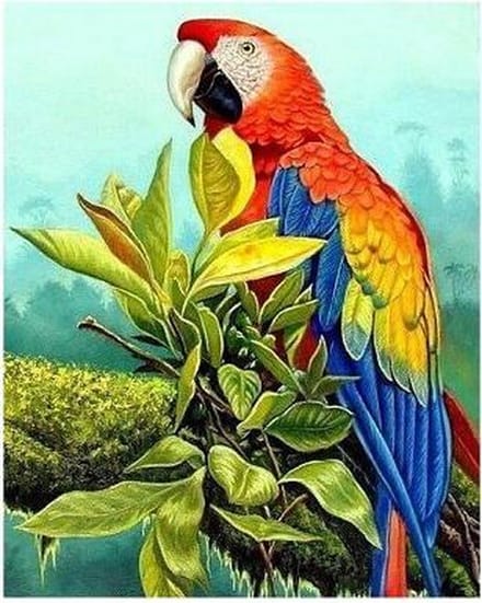 Exotic Bird D'art Diamond Painting