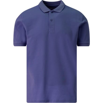 The BLUEPRINT Premium Polo Heren Blauw