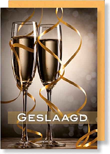 MGPcards - 6x dubbele wenskaart met envelop - Geslaagd - 11,5 x 17 cm