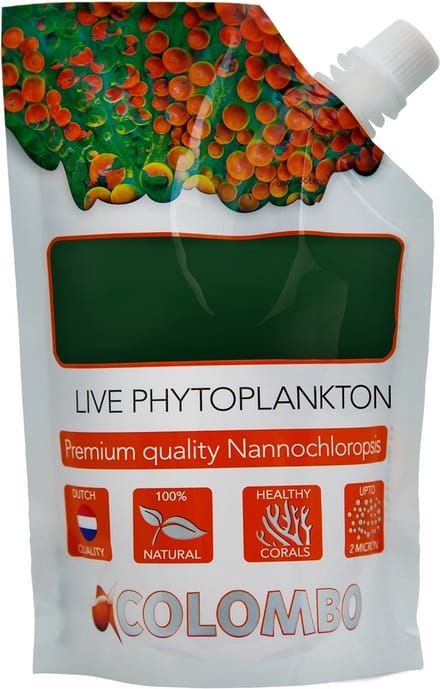 Colombo Live Phytoplankton - Levende Plankton