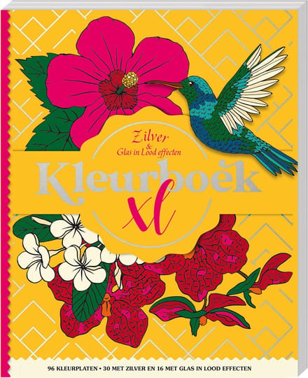 Kleurboek Xl - Zilver & Glas In Lood Effecten - Interstat