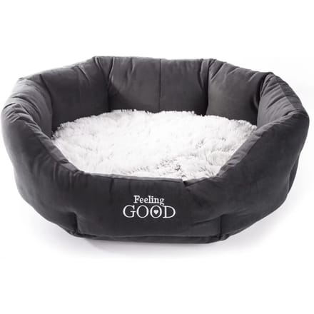 Hond en kat comfortabele mand Martin Sellier Igloo