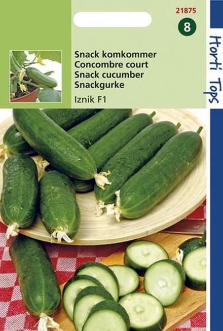 Hortitops Zaden - Snackkomkommer Iznik F1