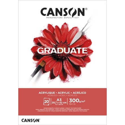 Schilderpapier canson graduate 20vel 290gr a3 wit