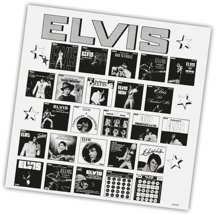 Elvis Now