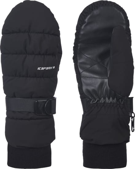 ICEPEAK HOYLETON Unisex Wintersporthandschoenen - Zwart - Maat M