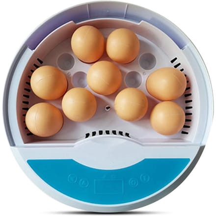Broedmachine voor 9 eieren met temperatuurweergave, eierkaarslamp en touchscreen, Chick Cozy Broedmachine EU Plug brown
