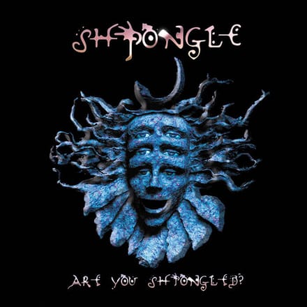 Are You Shpongled? - Shpongle