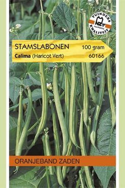 STAMSLABONEN CALIMA (HARICOTS VERTS) 100G