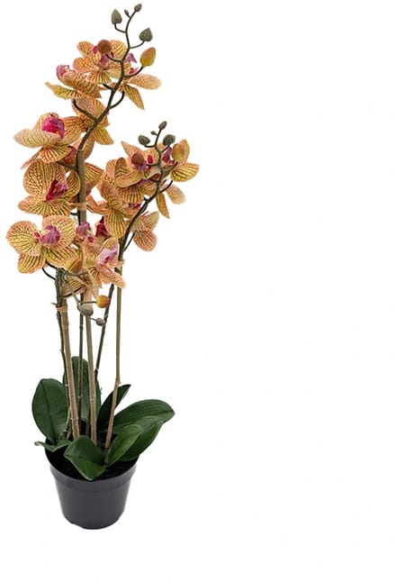 Kunst Phalaenopsis Orchidee In Pot x3 60 cm - Tiger Yellow