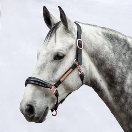 Leren halster voor paard Bridlery Eternity
