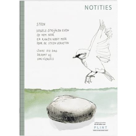 Notitieschriftje Steen - Plint