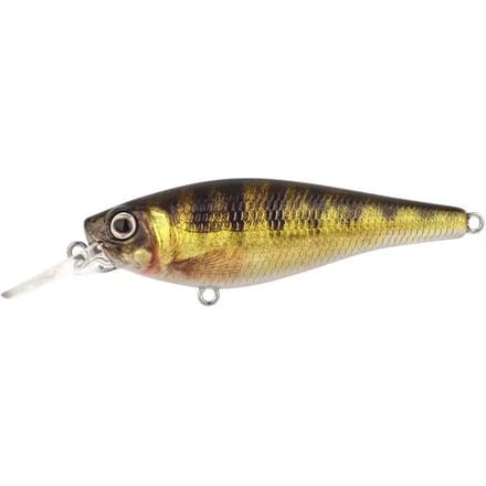 Lok Spro Ikiru Shad 70LL