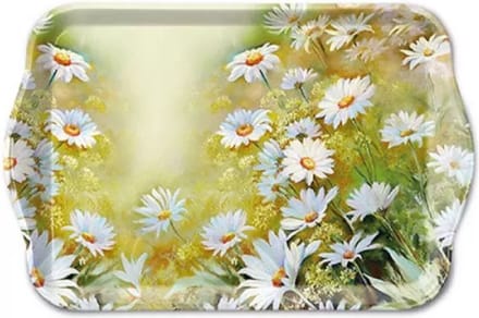 AMBIENTE TRAY MELAMINE FACING THE SUN  - DIENBLAD