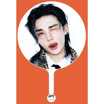 Stray Kids × ApopGong(DIT & DAT)exclusieve IMAGE PICKET A versie Hyunjin black