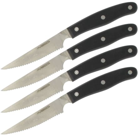 Set van 4 steakmessen 22 cm Nirosta Fit