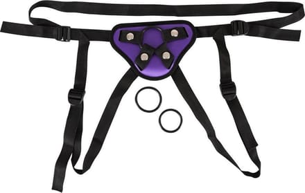 Universal Harness + 3 Rings