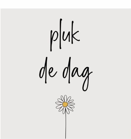PLUK DE DAG | tegeltje van forex | 13 x 13 cm | met haakje