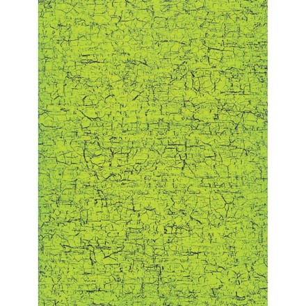 Décopatch papier "Octopus-Groen"