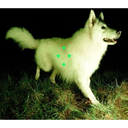Compare What's There -Fluorescent Green Vinyl- - Real Farmer