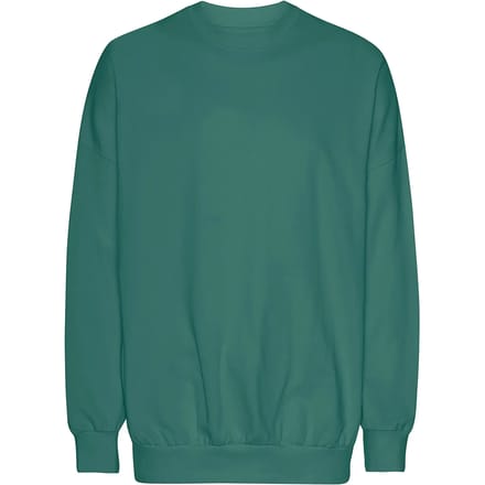 Oversized sweatshirt Tiger