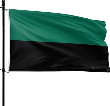 VlagDirect - Texel vlag - Gemeente Texel vlag - 90 x 150 cm.