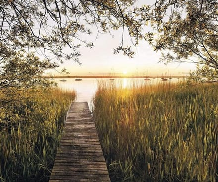 Fotobehang - Lakeside 300x250cm - Vliesbehang