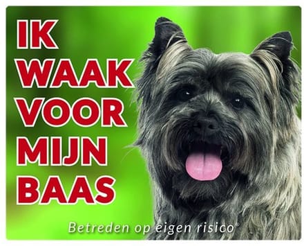 Cairn Terrier grijsbruin Waakbord - Ik waak voor mijn baas