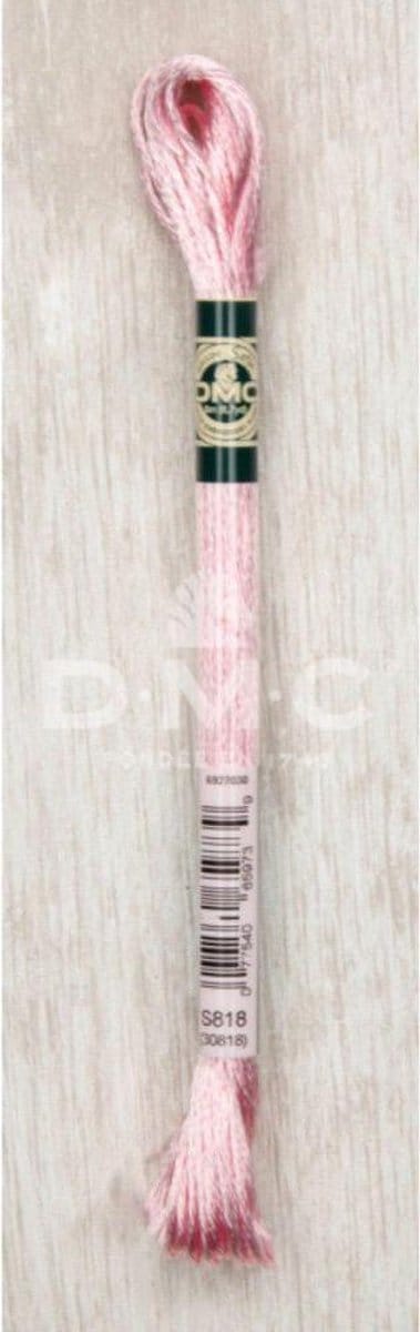 DMC MOULINÉ SATIN 2X8M - S0818