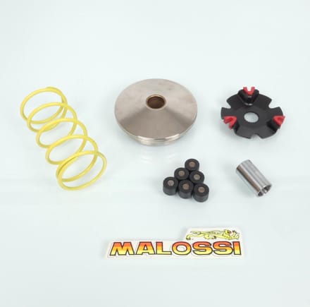 Variateur Malossi pour Scooter Italjet 50 Formula 51 7128 / Multivar Neuf