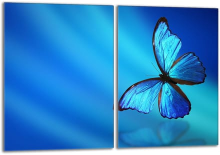 TMK ArtDeko - Snijplank - Motyl - Glasplaat - 2x40x52 cm