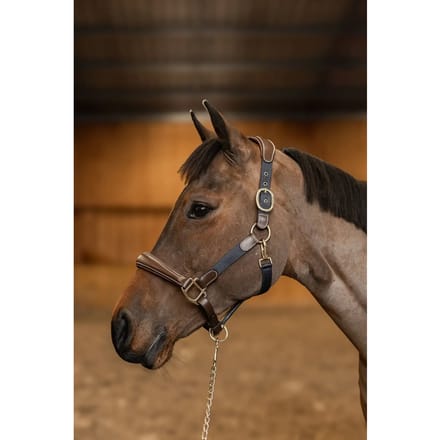 Halsters van leer en nylon voor paarden HFI Mixed