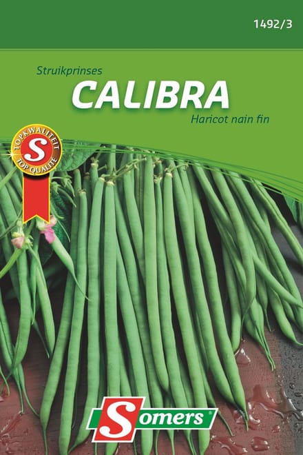 Somers zaden - Struikprinses Calibra