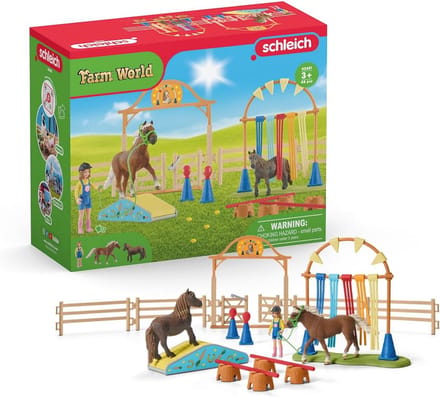 Pony Agility Training