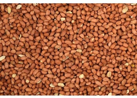 Wielink Pinda’s gepeld 1KG kleinverpakking