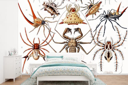 Behang - Fotobehang Retro - Spin - Ernst Haeckel - Spinnen - Breedte 420 cm x hoogte 280 cm