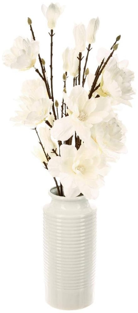 - Magnolia takken van vaas, hoogte 75 cm