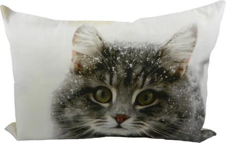 canvas kussen kat sneeuw 35x50cm*