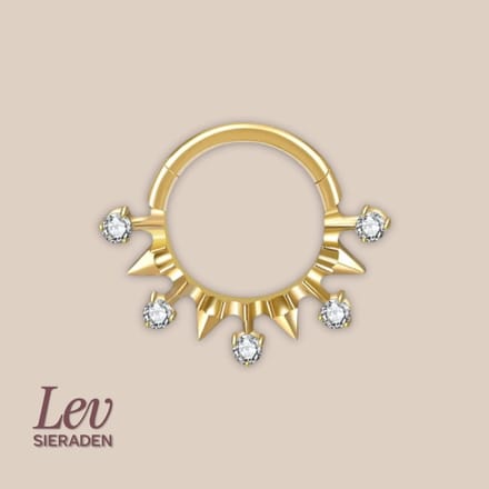 Lev Sieraden - Titanium premium neus ring - Stones and spikes - 5 zirkonia segment ring - 1.2x8mm - Goud - segment ring - neuspiercing - tragus piercing - Oorpiercing