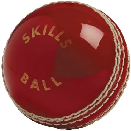 Cricketbal Gunn and Moore Skills